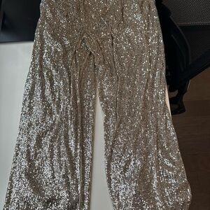 Express Silver Sequin High Waisted Cropped Pants